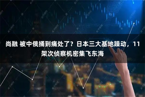 尚融 被中俄捅到痛处了？日本三大基地躁动，11架次侦察机密集飞东海